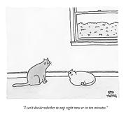 One Cat Speaks To Another Cat Drawing by Amy Hwang