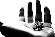 One Life Photograph by Keisuke Ikeda @