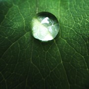 One Photograph by Natasha Marco