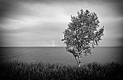 One on One  Photograph by Doug Gibbons