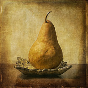 One Pear Meditation Photograph by Terry Rowe