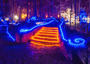 Orange Steps Photograph by Daniel George