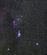 Orion's Belt And Nebulae Photograph by Science Photo Library