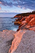 Otter Cliffs At First Light Photograph by Jeff Sinon