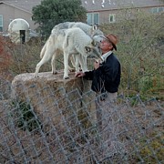 Out of Africa  Friendly Wolves Photograph by Phyllis Spoor