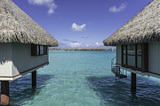 Overwater Bungalows in Bora Bora #1 Photograph by Mel Ashar