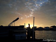 Owl Admires Sunset Photograph by Robert Banach