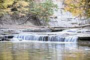 Paine Creek Photograph by David Armstrong