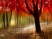 Painted With Light Photograph by Jessica Jenney
