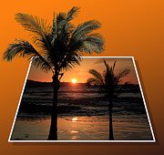 Palm Trees at Sunset Photograph by Shane Bechler Palm Trees at Sunset Photograph by Shane Bechler