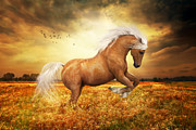Palomino Horse Sundance Painting by Shanina Conway Palomino Horse Sundance Painting by Shanina Conway