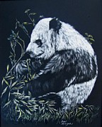 Panda Lunch Time Drawing by Bev Morgan
