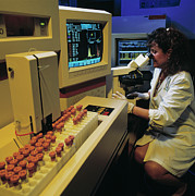 Pathologist Examines Slides Under A Microscope Photograph by Science Photo Library