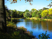 Peaceful Lake Photograph by Susan Savad Peaceful Lake Photograph by Susan Savad