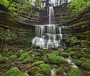 Pearly Springs Waterfall Buffalo Photograph by Tim Fitzharris Pearly Springs Waterfall Buffalo Photograph by Tim Fitzharris