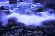 Pebble Beach California Photograph by Jonas Luis