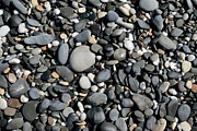 Pebbles On A Beach Photograph by Science Photo Library