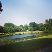 Perfect Park Afternoon Photograph by Christy Beckwith