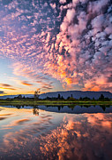 Perfect Pink Photograph by James Wheeler