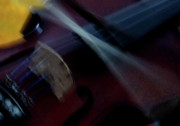 Phoebe's Violin Photograph by Linda Shafer