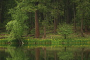 Pierre Lake Photograph by Loni Collins