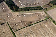 Pig Farm Overhead View Photograph by Science Photo Library