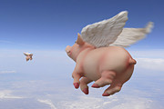 Pigs Fly 2 Photograph by Mike McGlothlen