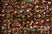 Pike Place Market Gum Wall In Alley Photograph by Jim Corwin Pike Place Market Gum Wall In Alley Photograph by Jim Corwin