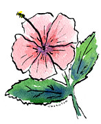 Pink Hibiscus Painting by Diane Thornton