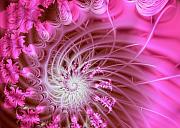 Pink Digital Art by Lena Auxier