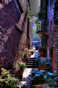 Pioneer Square Garden Pathway Photograph by David Patterson