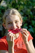 Pitaya Aka Dragon Fruit Photograph by Science Photo Library