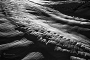 Play of light and shadow. Photograph by Fred Denner