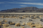 Playa In Nevada Photograph by Charlie Ott
