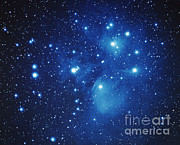 Pleiades Star Cluster Photograph by Jason Ware