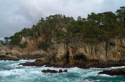 Point Lobos Coastal View Photograph by Charlene Mitchell
