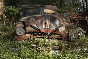 Pontiac Planted Photograph by Terry Rowe