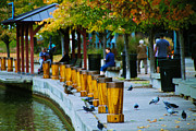 Port of Pittsford Photograph by William Norton
