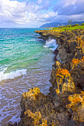 Pounders Beach Photograph by Flat Owl Photo