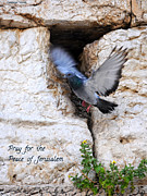 Pray For The Peace Of Jerusalem Painting by Constance Woods