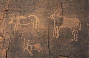 Prehistoric Petroglyphs Photograph by Science Photo Library