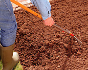 Preparing Soil Photograph by Science Photo Library