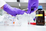 Protein Engineering Photograph by Science Photo Library