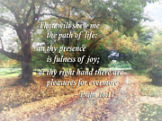 Psalm 16 11 Thou wilt shew me the path of life Photograph by Susan Savad