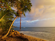 Puerto Rico Palm Lined Beach With Boat At Sunset Photograph by Jo Ann Tomaselli