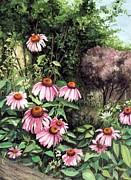 Purple Coneflowers Painting by Barbara Jewell