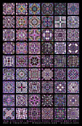 Quadtiles Three Dingbat Quilt Digital Art by Ann Stretton