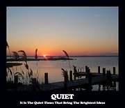 Quiet Photograph by Robert Banach