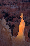 Rabbit Sunset Point Bryce Canyon National Park Photograph by Fred Stearns