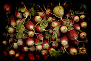 Flemish Radish Art Photograph by Jennifer Wright